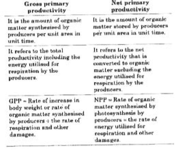 What is the difference between gross primary productivity and net primary productivity quizlet?