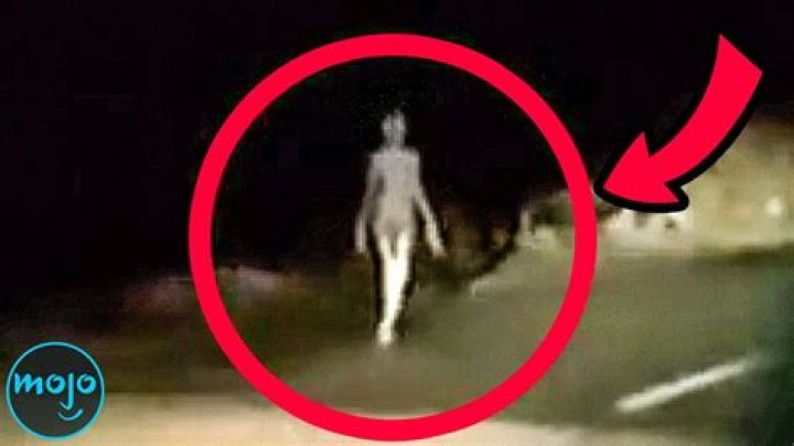 What is the fastest thing caught on camera?