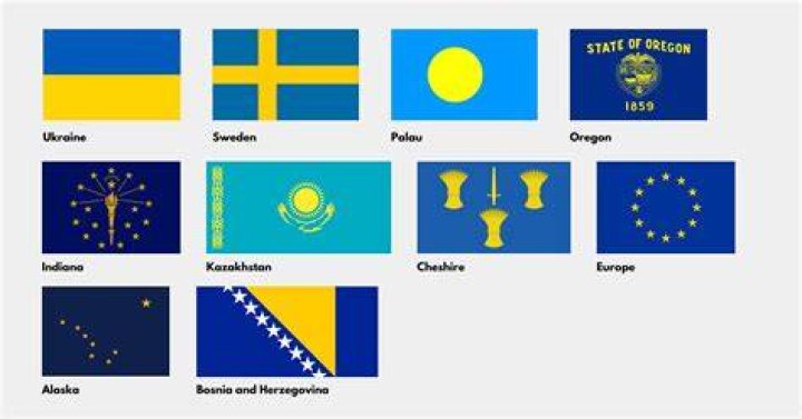 What is the flag of the Ukrainian National Union (OUN)?