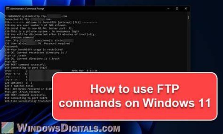 What is the FTP command in Windows?