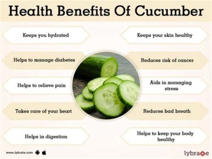 What is the importance of cucumber?