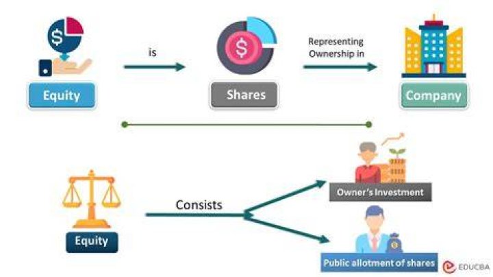 What is the meaning of equity in a company?