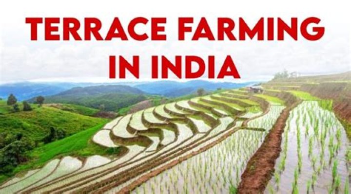 What is the meaning of terrace farming?