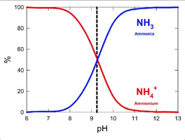 What is the pH of ammonium acetate?