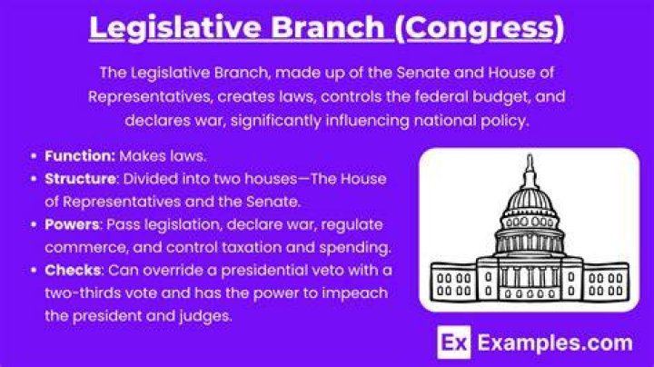 What is the power of the legislative branch?