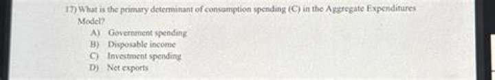 What is the primary determinant of consumption spending?