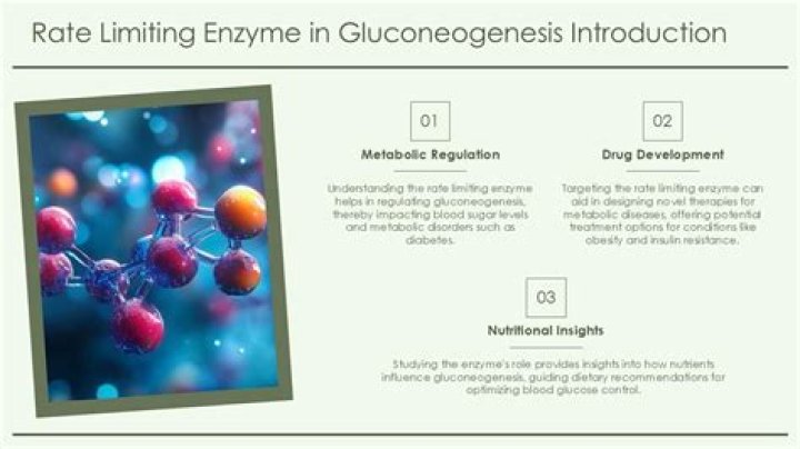 What is the primary function of rate limiting enzymes?