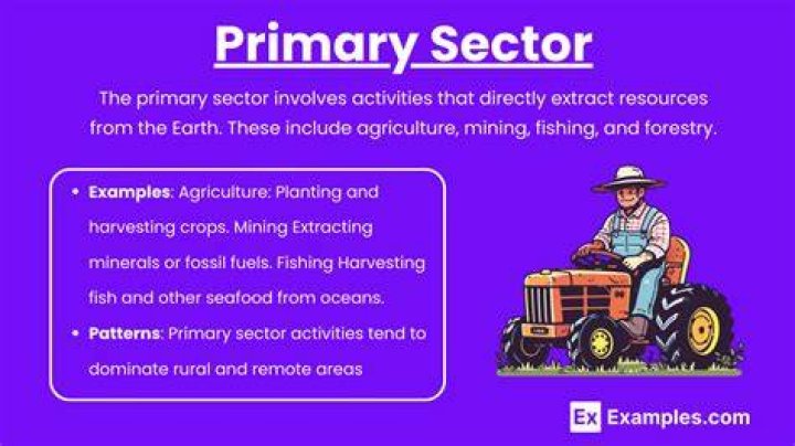 What is the primary sector of an economy?