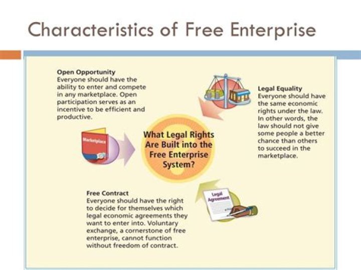 What is the relationship between a free enterprise system and a democracy?
