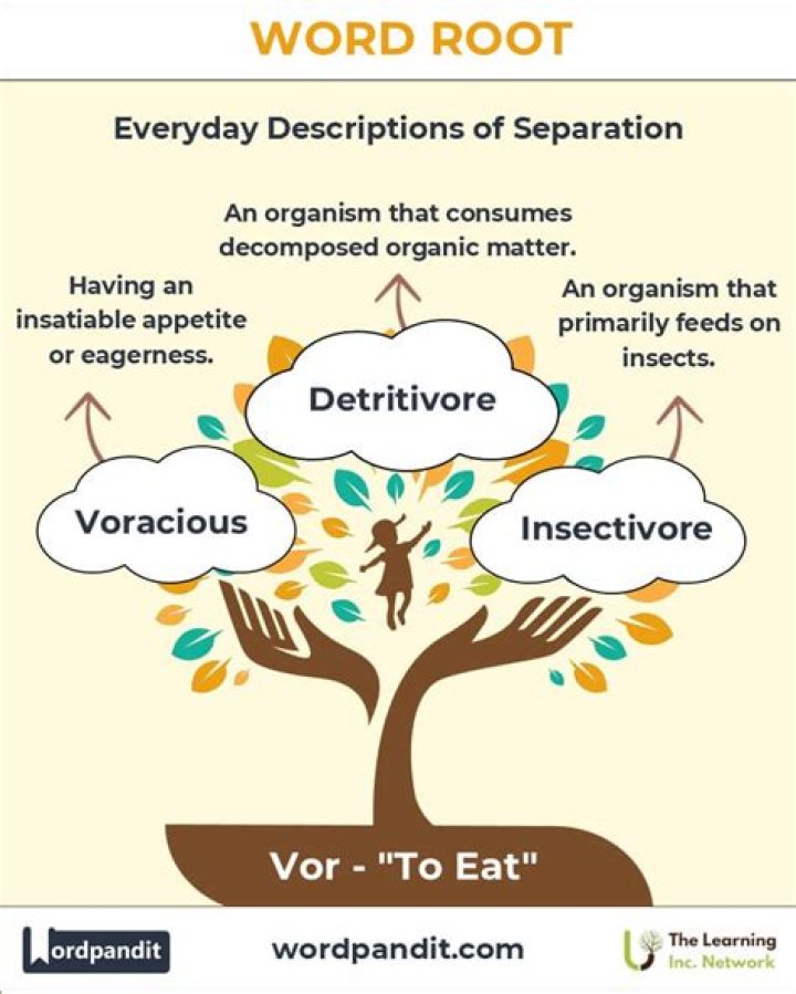 What is the root word of welfare?
