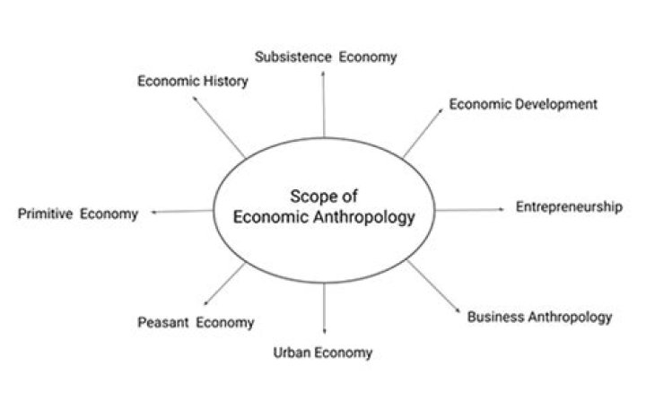 What is the scope of economic anthropology?