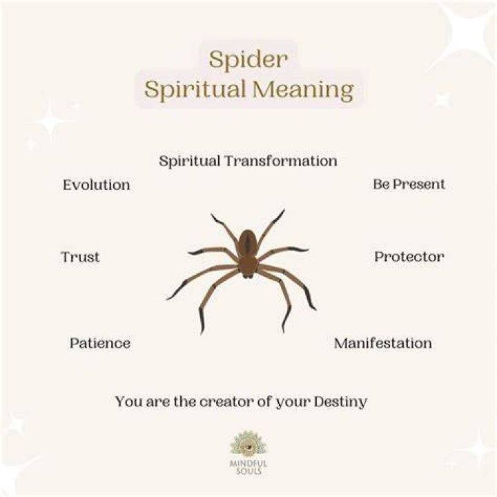 What is the spiritual meaning of spiders in your dream?