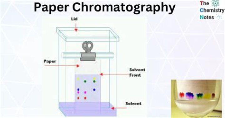 What is the theory behind paper chromatography?