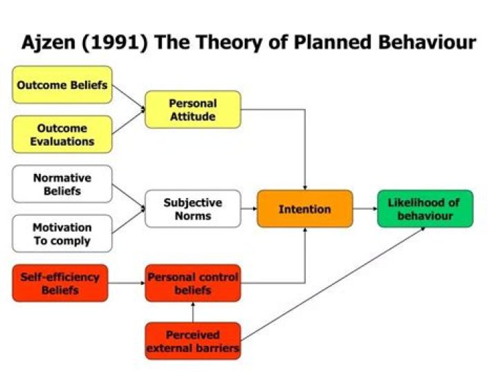 What is the theory of planned Behaviour ajzen 1991?
