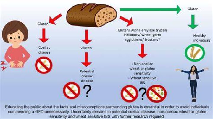 What is the truth about gluten?