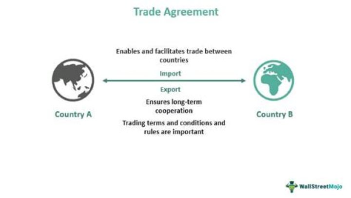 What is trade policy in developing countries?