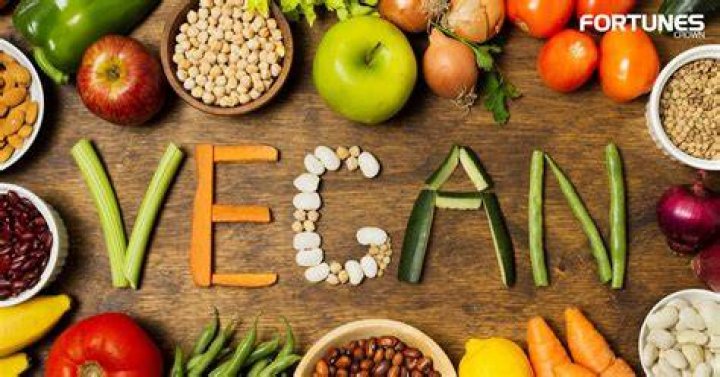 What is vegan anarchism?