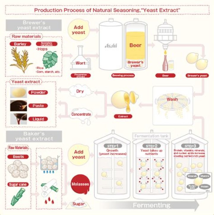 What is yeast extract made out of?