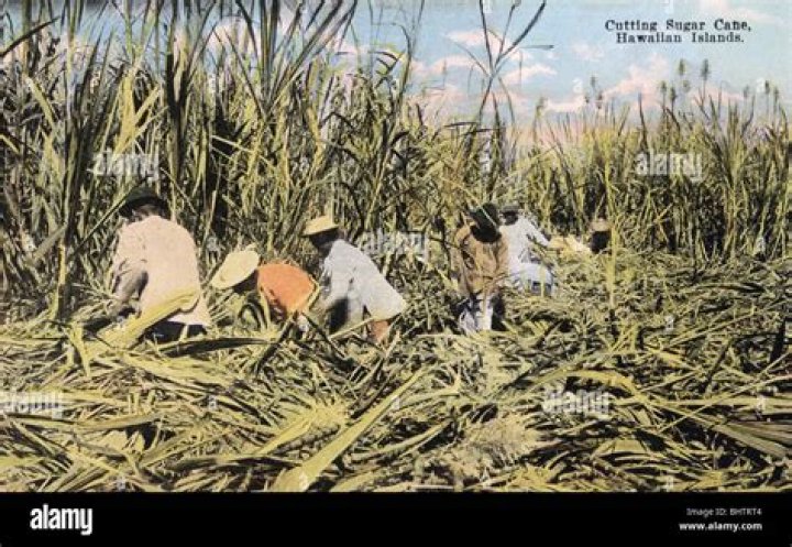 What legislative act caused a crisis by threatening Hawaiian sugar growers?