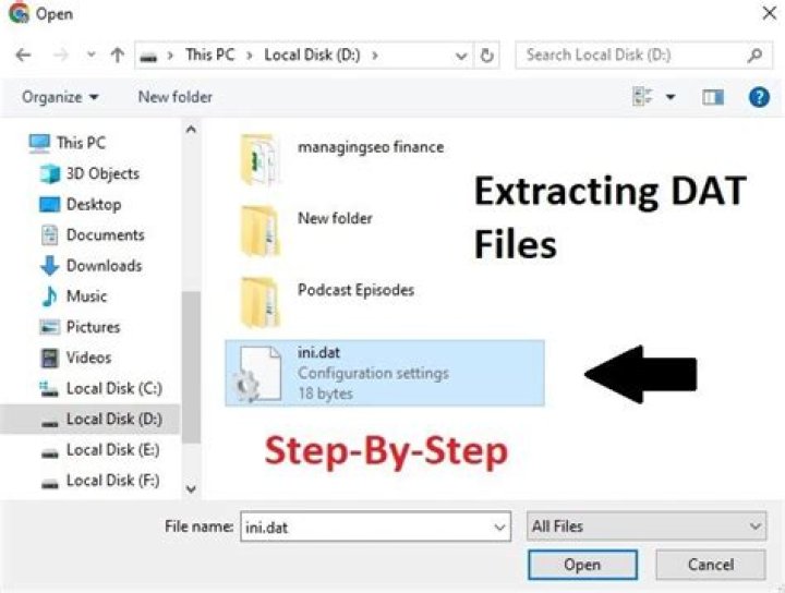 What program opens a DAT file?