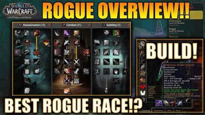 What rogue spec is best for raiding?
