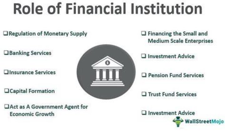 What role do financial institutions play in economic investment?