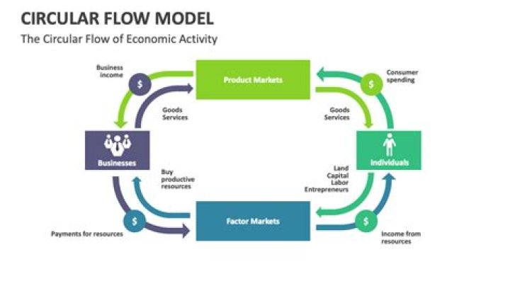 What role do people play in the circular flow model?