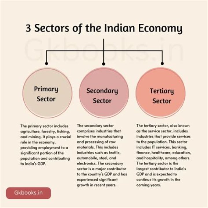 What role does the primary sector play in Indian economy?