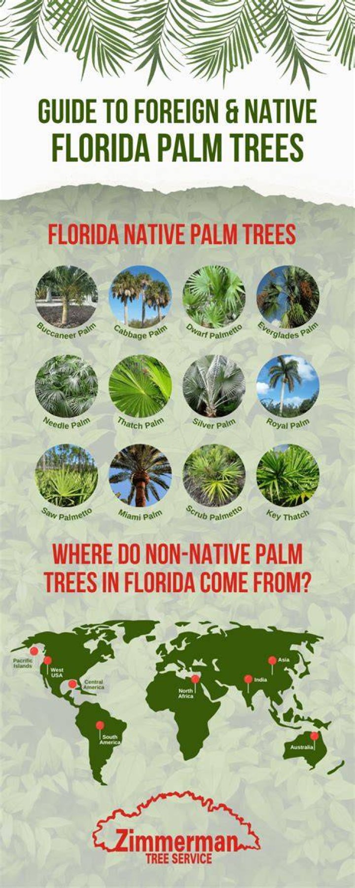 What tree is native to Florida?