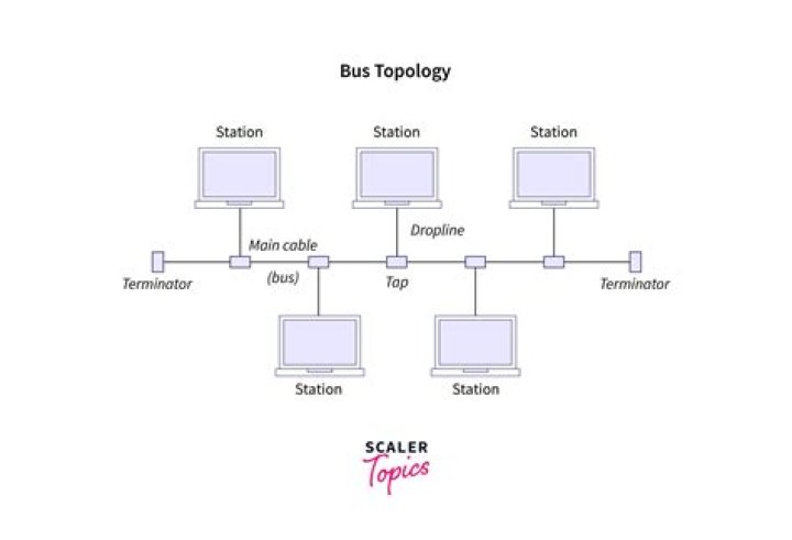 What type of topology is bus?