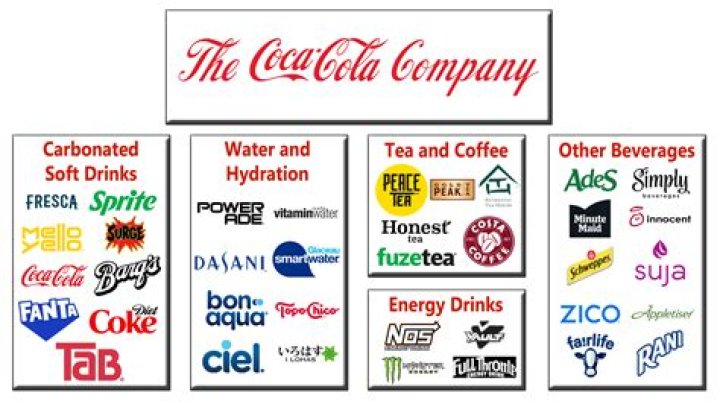 What was one advantage that corporations of the late 1800s had over individually owned businesses is that corporations?