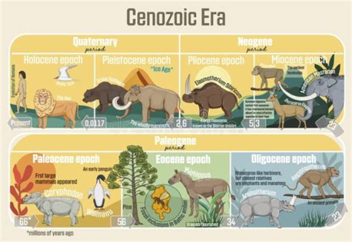 What was the environment like during the Cenozoic Era?
