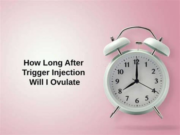 When will I ovulate after trigger shot?