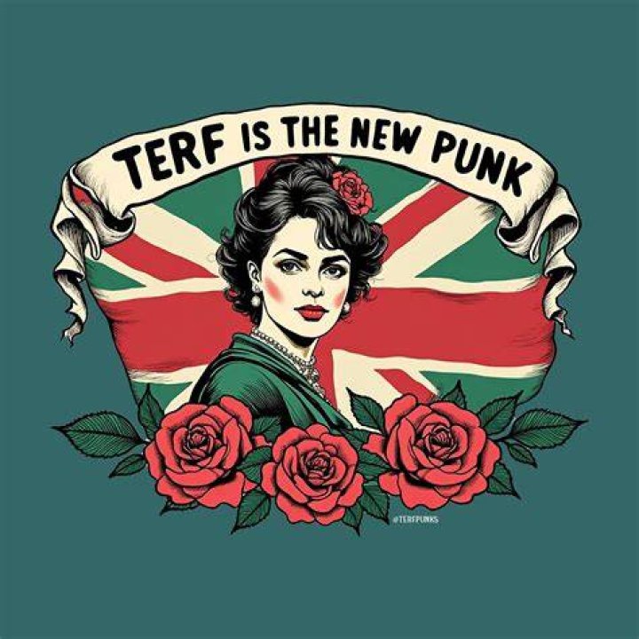 Where can I watch the new punk d?