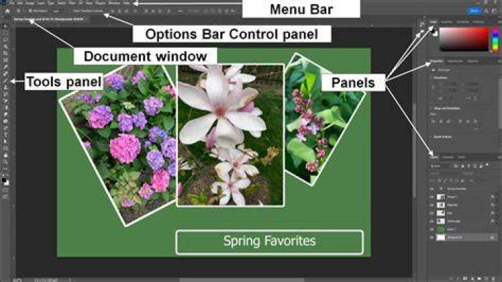 Where is the Application bar on Photoshop?