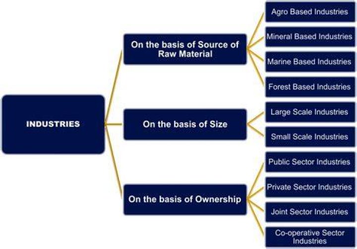 Which are the types of industries based on raw material?