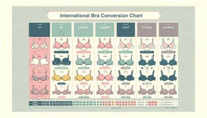 Which online site is best for bra?