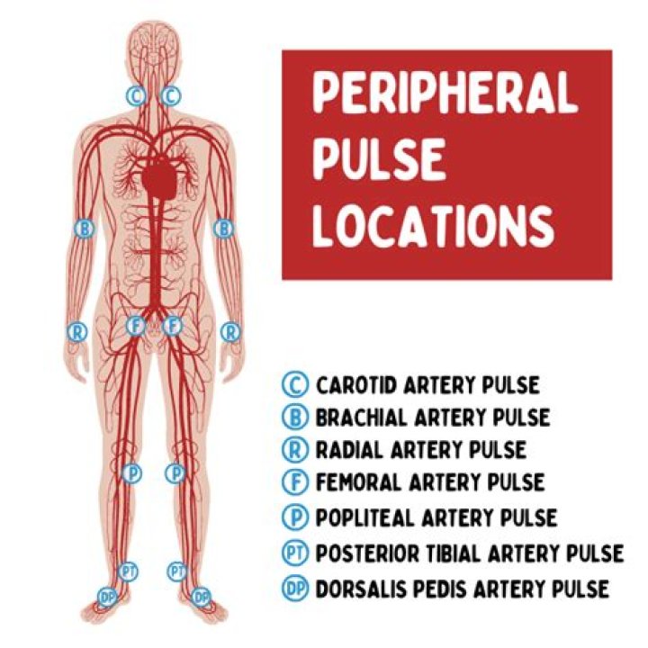 Which pulse location is the most accurate?