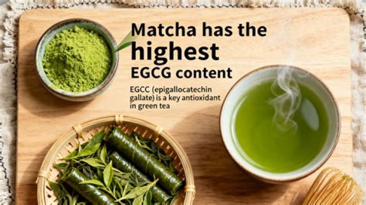 Which tea has the most EGCG?