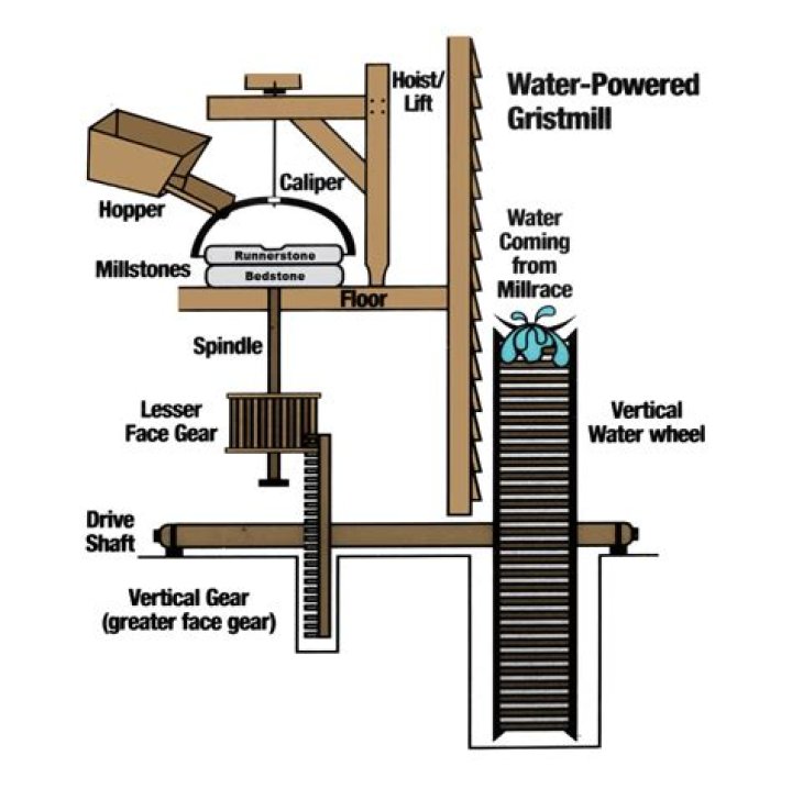 Who had to make an economic choice to pay to use a grist mill?