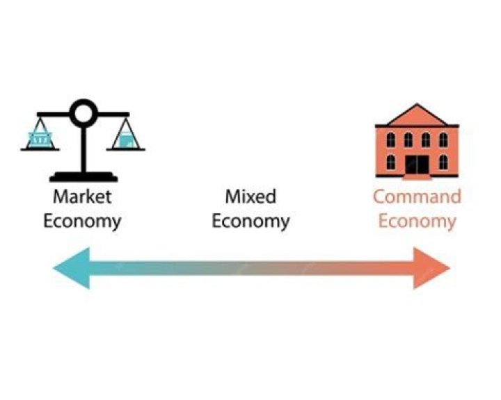 Who owns the resources in a mixed economy?