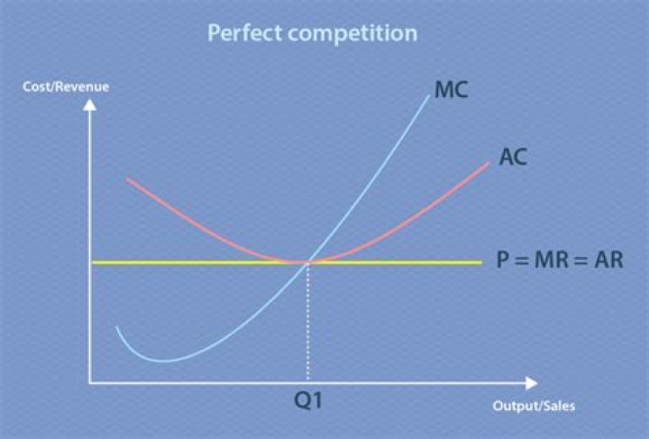 Why are average revenue and marginal revenue equal under perfect competition?