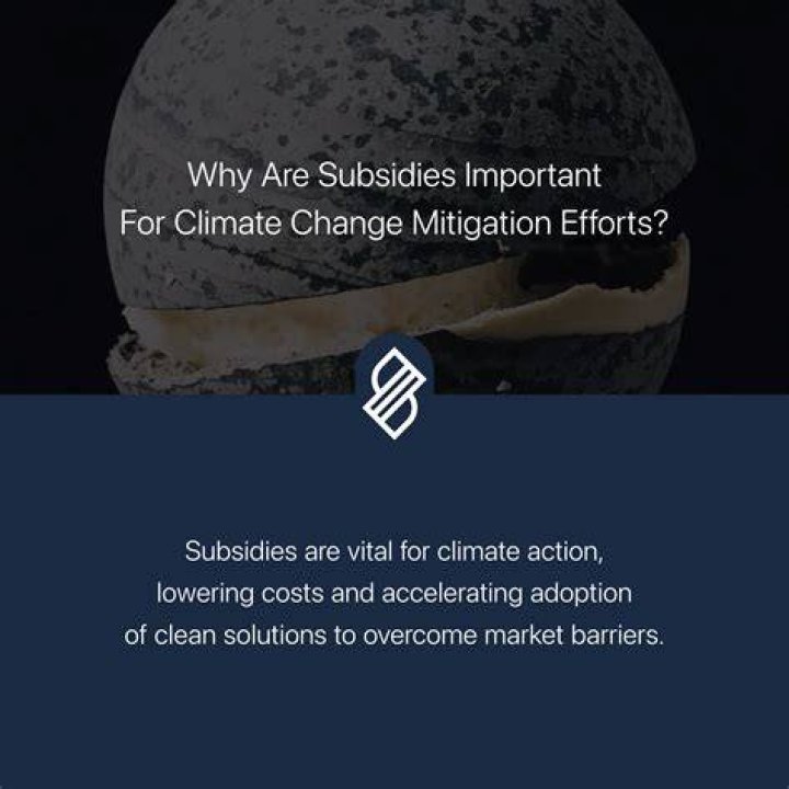 Why are subsidies important?