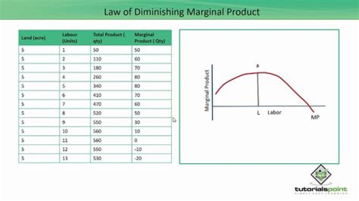 Why does the law of diminishing marginal productivity hold in the short-run?