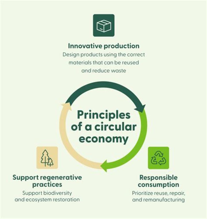 Why is circular important?