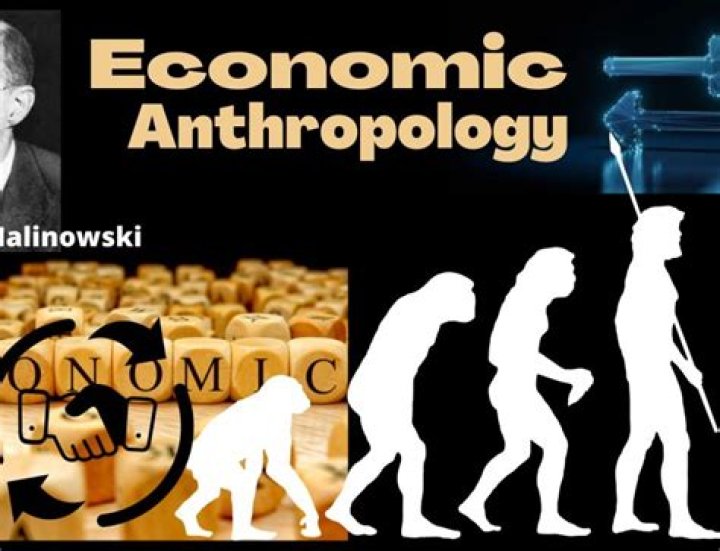 Why is economic anthropology important?
