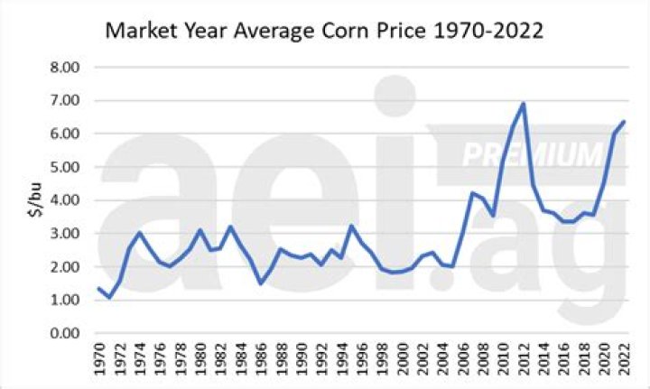 Why is the price of corn going up?