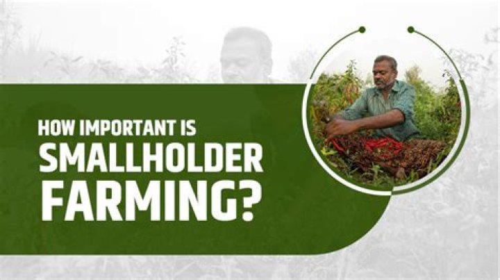 Why smallholder farming is important?