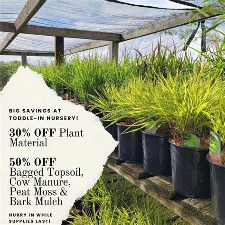 Will bagged manure burn plants?