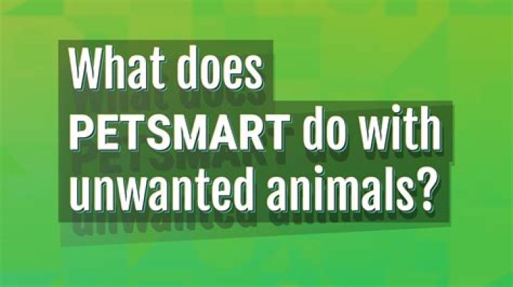 Will PetSmart take unwanted pets?